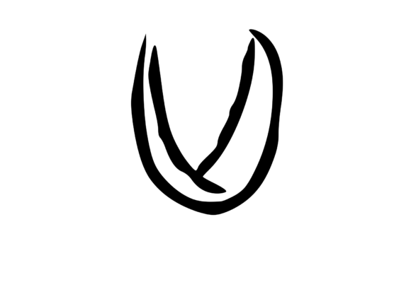 Rough Urban Zine Skater Mono Letter U Review