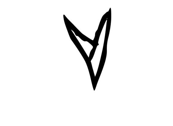 Rough Urban Zine Skater Mono Letter V Review